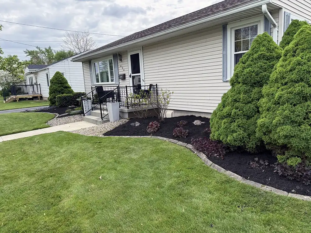 Professional Landscaping Team